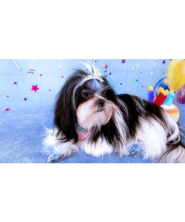 Pet Show Dog Tiara Crown Hair Clip for Small Dogs - Crystal Rhinestone Girls Puppies Barrette Grooming Accessory - Buy Online on GoSupps.com