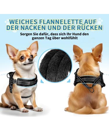 Eyein No-Pull Dog Harness with Leash Adjustable Padded & Reflective for Small to Large Pets Black (M) - Buy Online on GoSupps.com