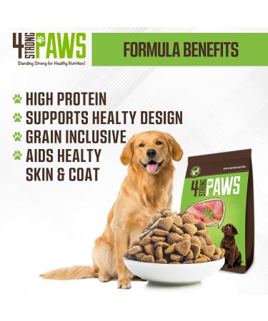 4 STRONG PAWS Chicken and Salmon Dry Puppy Food - 28 Pound High Protein Puppy Food - Grain Inclusive Dog Food for Healthy Dog Bones Chicken and Salmon Grain Inclusive 12.7 kg (Pack of 1) - Buy Online on GoSupps.com