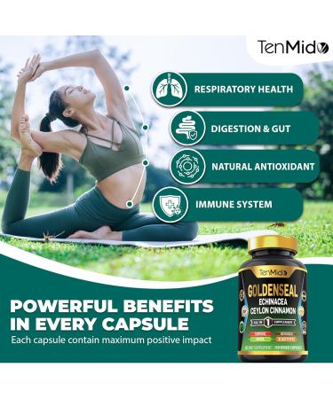Tenmido Goldenseal Root Supplement - 7in1 Formula - Combine with Echinacea Ceylon Cinnamon Turmeric Papaya Gotu Kola & Black Pepper - Digestive Health Support - 150 Capsules for 5 Months Supply - Buy Online on GoSupps.com