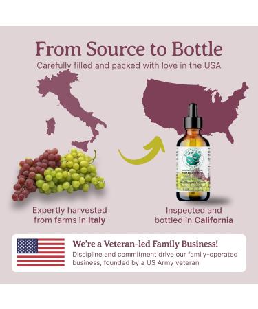 Pure Grape Seed Oil 236 ml Antioxidant-Rich Lightweight Radiant Skin Frizz-Free Hair Silky Touch Bella Terra Oils 236 ml (Pack of 1) - Buy Online on GoSupps.com