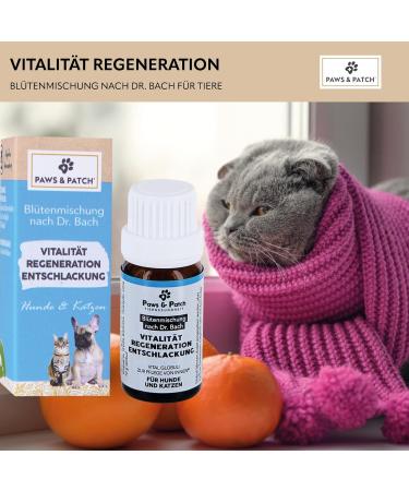 Buy Paws & Patch Vitality Regeneration Detox Flower Mix for Dogs & Cats - 10g Bach Flower Globules for Detox Cure - International Shipping Available - Buy Online on GoSupps.com