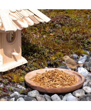 Lyra PET 10L Dried Mealworms | High-Protein Natural Food for Birds Rodents Fish & Reptiles | Year-Round Wild Bird Food - Buy Online on GoSupps.com