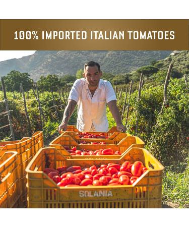 Carbone Pasta Sauce Variety Pack - Arrabbiata, Marinara, Tomato Basil, Roasted Garlic | Fresh & All-Natural Ingredients | Non-GMO, Vegan, Gluten-Free | 24 Fl Oz (Pack of 4) - Buy Online on GoSupps.com