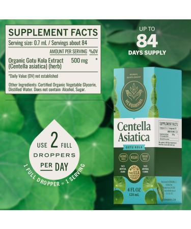 HERBAMAMA Gotu Kola Tincture - Vegan Brain Support with Centella Asiatica Extract Drops for Brain Support - Non-GMO, Alcohol & Sugar-Free Gotu Kola Extract Supplement, 84-Day Supply 4 Fl Oz (Pack of 1) - Buy Online on GoSupps.com