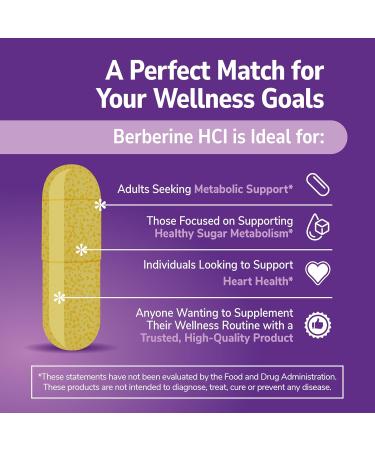 21st Century Berberine HCl 1000 mg Per Serving, (60 Count), Helps Support Healthy Sugar Metabolism & Cardiovascular Health, Vegan, Non-GMO, Gluten Free, Berberine Supplement, 30 Servings - Buy Online on GoSupps.com