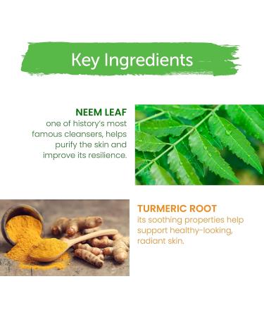 Himalaya Purifying Neem Foaming Face Wash Soap-Free Daily Foaming Facial Cleanser with Neem & Turmeric for Deep Cleaning Paraben-Free Dermatologically Tested 150 ml (5.07 oz) 5.07 Fl Oz (Pack of 1) - Buy Online on GoSupps.com