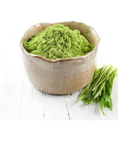 Detox Skinfood Lip Balm| Repair and Protect your Lips Against the Elements Deeply Nourishes dry lips leaving them feeling healthy|Vegan Beauty Cosmetic - Buy Online on GoSupps.com