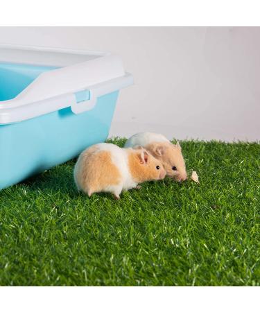 Artificial Grass Guinea Pig Pee Pad Combo - Set of 2 | 15.7x23.6 Inch Training Turf for Small Pets - Buy Online on GoSupps.com