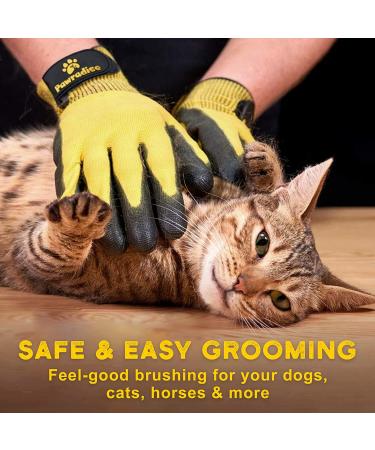 Pat Your Pet Hair Remover Glove - Effective Dog & Cat Brush for Easy Pet Grooming - Buy Online on GoSupps.com