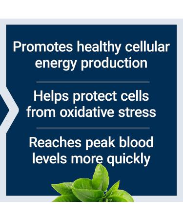 Life Extension Super R-Lipoic Acid 240mg and Acetyl-L-Carnitine 100 Capsules - Cellular Energy and Brain Health - Buy Online on GoSupps.com