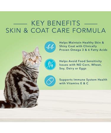 Blue Buffalo True Solutions Natural Adult Wet Cat Food Skin and Coat Care 156g cans (Pack of 24) Skin & Coat Care Wet Cat Food - Lg Size - Buy Online on GoSupps.com