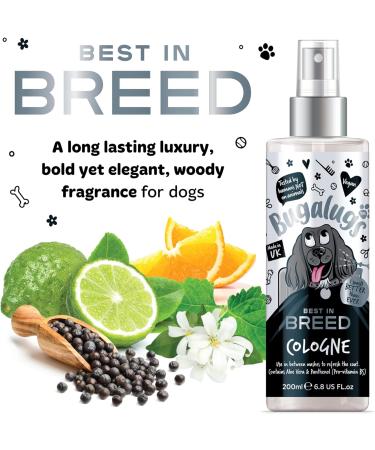 BUGALUGS Dog perfume Breed dog deodorant spray with a Distinctive dog perfume spray fragrance long lasting dog spray for smelly dogs. Essential dog cologne grooming products for dogs 200ml 199 ml (Pack of 1) - Buy Online on GoSupps.com