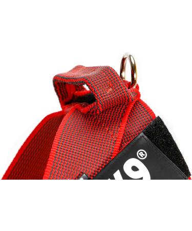 Julius-K9 Red-Grey Belt Harness L/1 | High-Quality Pet Gear for International Shipping - Buy Online on GoSupps.com