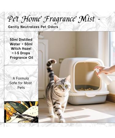 HIQILI 100ML Cinnamon Essential Oil & 30ML Oriental Garden Fragrance Oil for DIY Diffuser - Buy Online on GoSupps.com