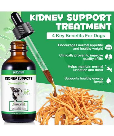 Kidney Support Drops for Dogs and Cats 60ml for Healthy Kidney Function in Cats and Dogs Natural Herbal Supplements Increase Immunity (Dogs) - Buy Online on GoSupps.com