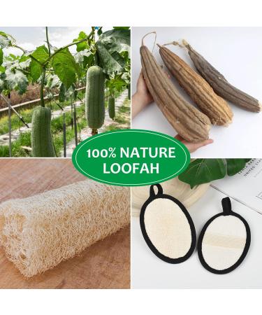 2Pcs Biodegradable Loofah Exfoliating Body Scrubber Set - Natural Shower Luffa Pads for Men and Women (Black) - Buy Online on GoSupps.com