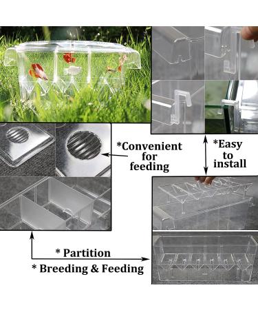 Acrylic Fish Breeding Box | Isolation Breeder Hatchery for Baby Fish, Shrimp, Clownfish - Buy Online on GoSupps.com
