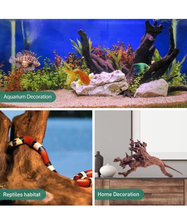 Natural Driftwood Aquarium Decor - Assorted Branches for Reptile/Fish Tank (2 Pack, 9-14 inch) - Buy Online on GoSupps.com