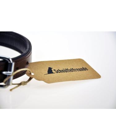 Premium Leather Sniffing Fans Dog Collar - Padded Robust & Adjustable for Large Medium & Small Dogs (XL 46-55cm Brown) - Buy Online on GoSupps.com