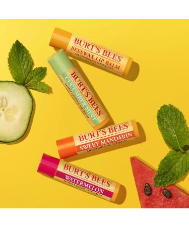 Burts Bees Freshly Picked Moisturizing Lip Balm Blister Pack for Unisex 4 x 0.15 oz Lip Balm Watermelon Sweet Mandarin Beeswax Cucumber Mint Multi-Color Freshly 1 count (Pack of 4) - Buy Online on GoSupps.com
