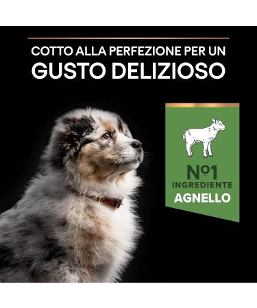 Purina Proplan Medium Puppy Digest Puppy Lamb 4 x 3 kg (Packaging May Vary) - Buy Online on GoSupps.com