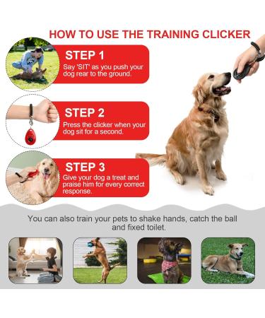Profi Clicker Dog Training Kit - 16-Piece Set for Dogs Cats & Horses - Hand Loop & Big Button - Buy Online on GoSupps.com