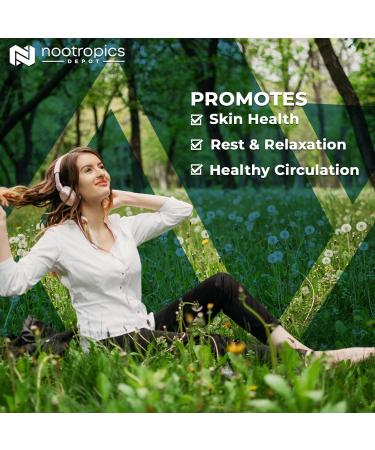 Nootropics Depot Baikal Skullcap Extract Tablets | 250mg | 60 Count | 15% Apigenin 20% Baicalein 50% Baicalin 60 Count (Pack of 1) - Buy Online on GoSupps.com