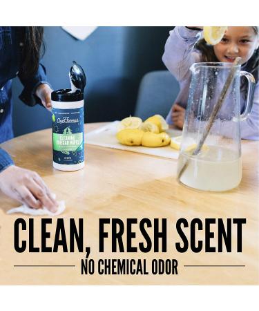 Aunt Fannie's Cleaning Vinegar Wipes - Eucalyptus Scent (35 Count) | Natural & Effective Cleaning Solution - Buy Online on GoSupps.com
