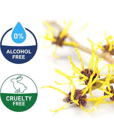 Witch Hazel (8oz) | Alcohol-Free Skin Toner Non-Toxic and Pure| Great Colorless & Odorless | Natural Astringent to Soothes Skin| Cleansing Agent Bottled in Canada| Multiple Uses| Amriel Co. - Buy Online on GoSupps.com