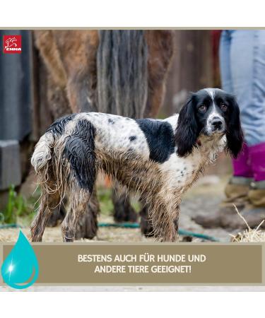 Tea Tree Shampoo for Dogs & Horses | 500ml pH Neutral Mild Formula for Shiny Fur & Skin Care | Best Tea Tree Oil Horse Shampoo - Buy Online on GoSupps.com