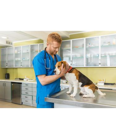 Vet's Advantage 100% Pure Boswellia Powder for Dogs - Supports Joint and Hip Health And Provides Natural Control of Pain and Inflammation for Dogs and Cats - Buy Online on GoSupps.com
