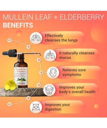 Organic Mullein Leaf & Elderberry Extract 2 fl oz - Supports Respiratory & Immune Health - Herbal Lung Cleanse Supplement - Buy Online on GoSupps.com