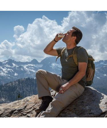 Chagit Chaga Mushroom Shot Immunity Shot Proprietary Quadruple Chaga Mushroom Extract 2oz Daily Drink Ready to Drink Box of 15 Individually Wrapped Shots - Buy Online on GoSupps.com