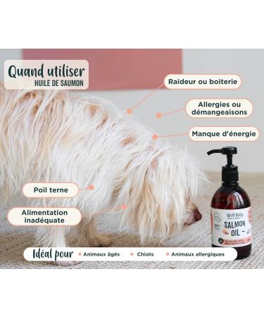 Wolf Belly - 100% Natural Salmon Oil for Dogs and Cats (500 ml) Rich in Omega 3 6 9 and Vitamin E Healthy Skin and Shiny Coat Strong Joints Healthy Immune System - Made in EU - Buy Online on GoSupps.com
