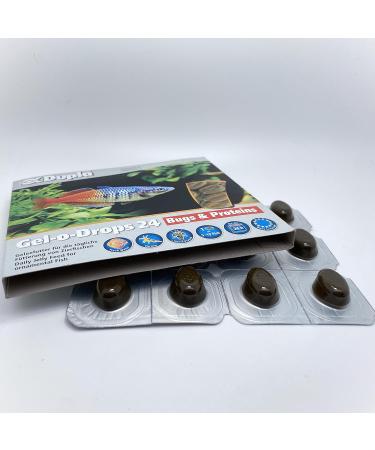 Dupla Gel-o-Drops 24 Bug and Protein (12 x 2 g) - Buy Online on GoSupps.com