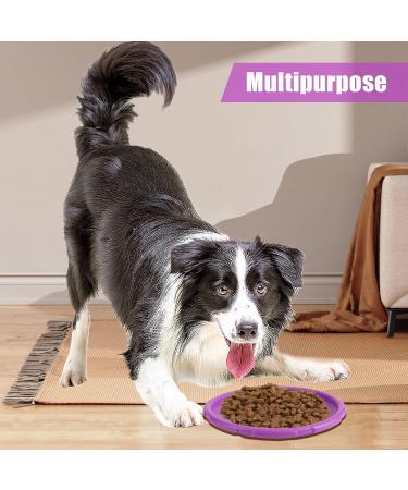 JSMTKJ Dog Frisbee Set - 4 Natural Rubber Flying Discs for Training & Play | Perfect Dog Toys in Orange Red Green Purple - Buy Online on GoSupps.com