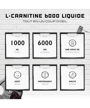 L-Carnitine 6000 Liquid - 1000 ml - Extra Heavily Dosed with 6000mg Pure L-Carnitine per Daily Serving - Amino Workout Drink - Delicious Flavor (Orange Power) - Vegan - Buy Online on GoSupps.com