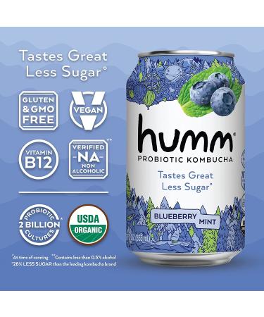 Humm Probiotic Kombucha Seasonal Variety Pack - Organic  2 Billion Probiotics for Gut Health - Watermelon Basil  Mango Passionfruit  and Blueberry Mint (12 Pack) 12 Fl Oz (Pack of 12) - Buy Online on GoSupps.com