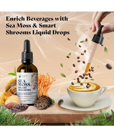 HAPPY FOX Irish Sea Moss Liquid Drops & Mushroom Tincture - Seamoss with 7 Adaptogenic Mushroom Extracts for Cognitive Support & Gut Health Mushroom Coffee Elixir Dark Chocolate Flavor Dark Chocolate Unsweetened Liquid D  - Buy Online on GoSupps.com