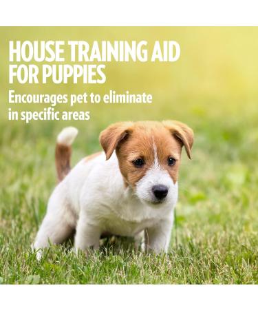 OUT! Indoor and Outdoor Dog and Puppy Training Spray | House-Training Aid| 500ml 500 ml (Pack of 1) - Buy Online on GoSupps.com
