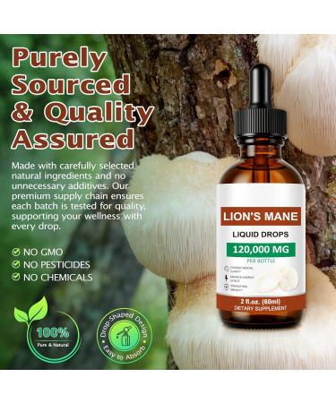 FSLHCY Lions Mane Liquid Drops - Lion's Mane Mushroom Supplement Brain Supplements for Memory and Focus Immune Support - No GMO Vegan Mushroom (4 oz) - Buy Online on GoSupps.com