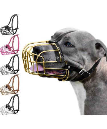 BRONZEDOG Pitbull Dog Muzzle Metal Mask Amstaff Wire Basket Pit Bull Adjustable Leather Straps for Large Dogs (Gold)