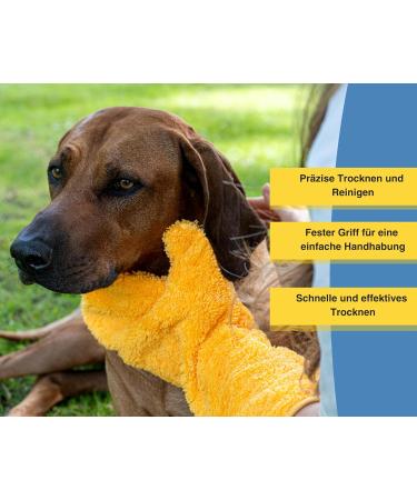 Canicoat Dog Towel SECCARE Set with Glove - Oeko-Tex Certified Fast Drying Microfiber Suction-Strong S/M Brown - Buy Online on GoSupps.com