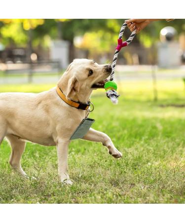 Fantesi Portable Dog Training Treat Bag - 2 Pcs Hands-Free Snack Dispenser with Carabiner for Easy Walking & Feeding - Buy Online on GoSupps.com