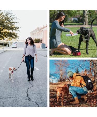 Pettom 420ml Portable Dog Water Bottle Leak-Proof Foldable Ideal for Travel Training & Hiking - Buy Online on GoSupps.com