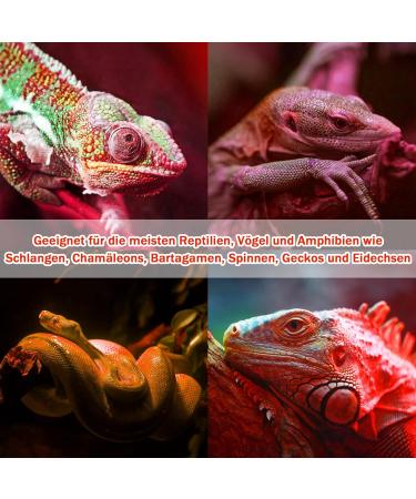 Neptonion 2-Pack 100W Reptile Infrared Heat Lamp - UVA Red Basking Spot Lamp for Snakes Chameleons Geckos & More - Buy Online on GoSupps.com