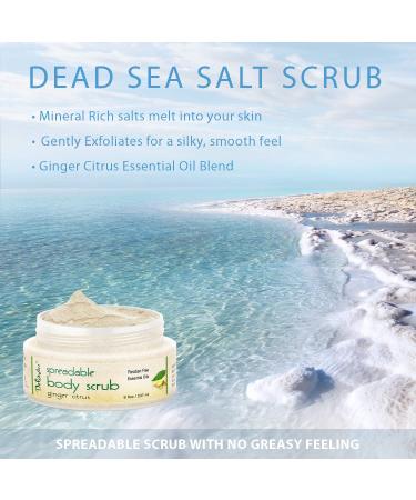 Deluvia Dead Sea Gentle Exfoliating Scrub Creamy Body Wash Shower Scrub with Sweet Almond Oil and Ginger Citrus Essential Oils 8 Fl Oz (Pack of 1) - Buy Online on GoSupps.com