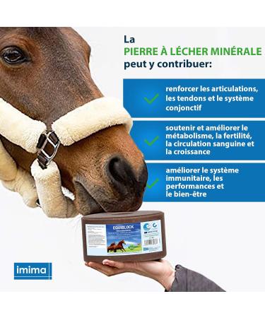 imima EQUIBLOCK Mineral Lickstone Horse Lickstone Set 4 x 3 kg Lickstone for Horses Goats Game and Beef Salt Lickstone Mineral Stone - Buy Online on GoSupps.com