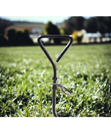 BUSDUGA 4446 Set of 2 Mooring Spirals for Dogs - 42cm Ground Anchor & Leash Attachment - Ideal for Secure Dog Tethering - Buy Online on GoSupps.com